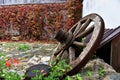 Antique wooden wheel covered with green ivy Royalty Free Stock Photo