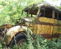 Antique Yellow School Bus Abandoned in Forest Royalty Free Stock Photo