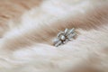 Vintage diamond brooch with pearl on dusty rose fur