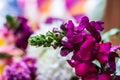 Antirrhinum magus dragon flower in flowers bouquet Royalty Free Stock Photo