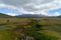 Antisana Ecological Reserve, Ecuador