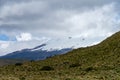 Antisana Ecological Reserve, Ecuador