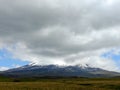 Antisana Ecological Reserve, Ecuador