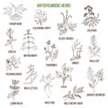 Antispasmodic herbs. Hand drawn set of medicinal plants Royalty Free Stock Photo