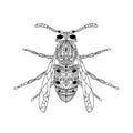 Antistress coloring page. Insect wasp. Isolated on white background. Doodle vector illustration