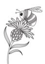 Antistress doodle coloring book page for adult. Bumblebee on the flower. Zentangle insect black and white illustration