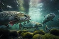 Antlantic Salmon Fish Underwater Lush Nature by Generative AI