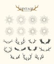 Antlers. Design elements of deer and collection of sunbeams. Set of hand drawn deer horns on the white background Royalty Free Stock Photo