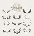 Antlers. Design elements of deer. Set of hand drawn deer horns on the white background. Vintage isolated icons Royalty Free Stock Photo