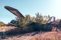 An-2 Antonov soviet biplane abandoned in airbase Royalty Free Stock Photo