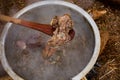 Goat Boiled Meat Mutton Unsliced In The Sufurian Royalty Free Stock Photo