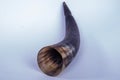 Cow Horn Polished Steer Rough Textured Pattern Detailed Abstract Product Image In Nairobi City County Kenya East African