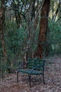 Lone Chair Seats At Karura Forest Sigiria Gate Nairobi City County Kenya East Africa