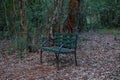 Lone Chair Seats At Karura Forest Sigiria Gate Nairobi City County Kenya East African