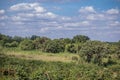 Coffee Farming In Kenya Ripe Beans Red Green Farm Plantation Plant Trees Nature Landscape In Kiambu County Kenya East Africa