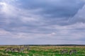 Zebras Grazing On Savannah Grassland In The Maasai Mara National Game Reserve Park Rift valley Narok County Kenya East Africa Royalty Free Stock Photo