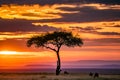 Magical Lone Trees Sunset Gazelle Antelope grazing grassland savannah in the Maasai Mara National Game Reserve park rift valley Na Royalty Free Stock Photo