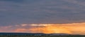 Wildebeest wildlife animals grazing the savannah grassland during sunrise in the Maasai Mara National Game Reserve Narok County Ri