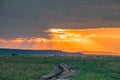 Magical sunrise rough road sunrays light burst into the cloud on the savannah grasslands at the Maasai Mara National Game Reserve