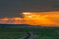 Magical sunrise rough road sunrays light burst into the cloud on the savannah grasslands at the Maasai Mara National Game Reserve