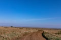 Lone Tree Savannah grassland wilderness great rift valley Maasai Mara National Game Reserve Narok County Kenya East Africa