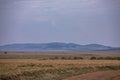 Kenya Landscapes Wildlife Animals Mammals at the savannah grassland wilderness hill shrubs great rift valley maasai mara national Royalty Free Stock Photo