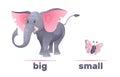 Antonyms and opposites, big and small. Elephant and butterfly. English language vocabulary, educational card for kids Royalty Free Stock Photo