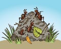 Ants in the anthill. Vector drawing