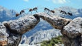 Teamwork ants forming bridge over rocks with mountains background Royalty Free Stock Photo
