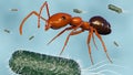 3d rendering of ants and scattered bacteria cells