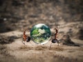 Ants carry the green planet through the dry Sands