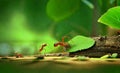 Ants carry the leaves back to build their nests-AI generated