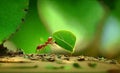 Ants carry the leaves back to build their nests-AI generated