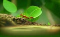 Ants carry the leaves back to build their nests-AI generated