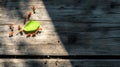 Teamwork Ants Carrying Leaf on Wooden Table, Nature Macro Shot Royalty Free Stock Photo