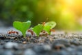 Ants are carrying leaves to make nests