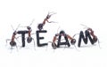 Ants constructing word team with letters, teamwork Royalty Free Stock Photo
