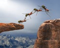 Teamwork, Teams, Team Work, Ants Royalty Free Stock Photo