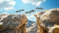 Teamwork Ants Crossing Gap on Rocks, Blue Sky Clouds, Nature Animal Concept Royalty Free Stock Photo