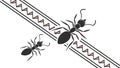 Ants Crossing a Textured Line Vector, Obstacle and Journey Theme, vector design Generative AI Royalty Free Stock Photo