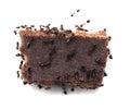 Ants eat candy. macro Royalty Free Stock Photo