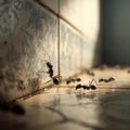 Ants exploring a tiled surface Royalty Free Stock Photo