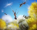 Ants flying with crafty umbrellas, ant tales Royalty Free Stock Photo