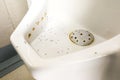 Ants gather on urinal in men restroom