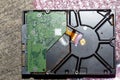 Ants on the hard disk