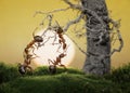 Ants know to play games, scientific fact