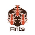 Ants logo for business or animal object, vector illustration