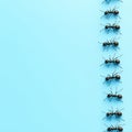 Ants are marching in a line on a light blue background Royalty Free Stock Photo