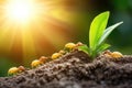 Ants marching on soil near seedling in sunlit environment Royalty Free Stock Photo