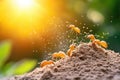 Ants marching on soil near seedling in sunlit environment Royalty Free Stock Photo